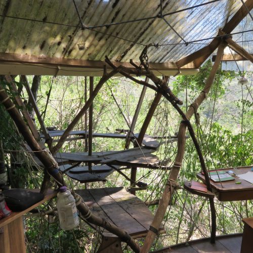 Bureau dans les arbres