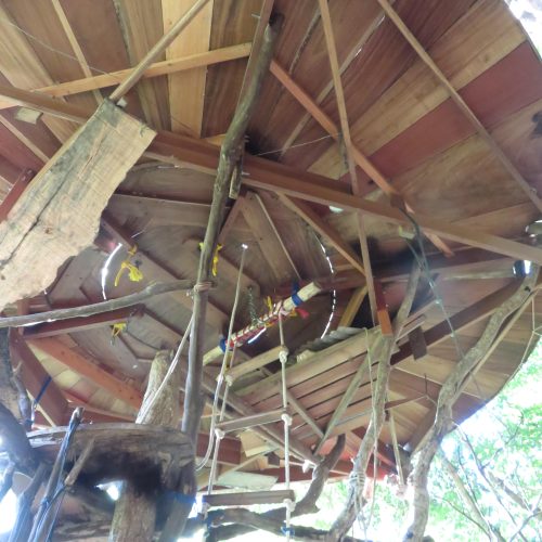 Cabane dans les arbres