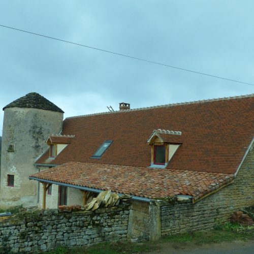 Pigeon de chaux lucarne-min