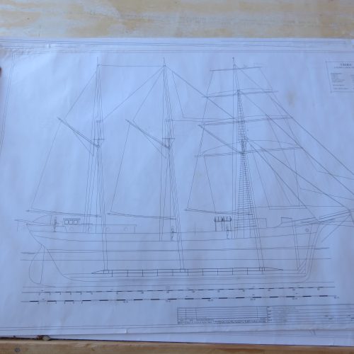 Plan ceiba