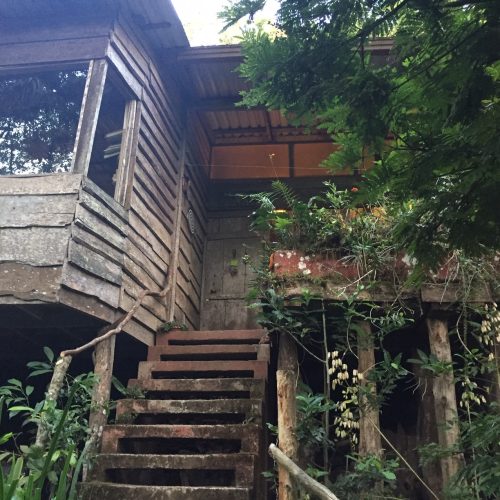 Sara's house