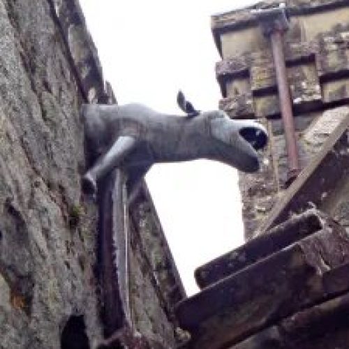 gargoyle