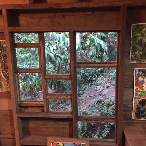 wooden windows